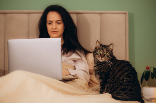 Egy fiatal nő tartja a macskáját laptoppal az ágyában a kényelmes hálószobájában éjszaka. Kiváló minőségű fénykép - Fotó, kép