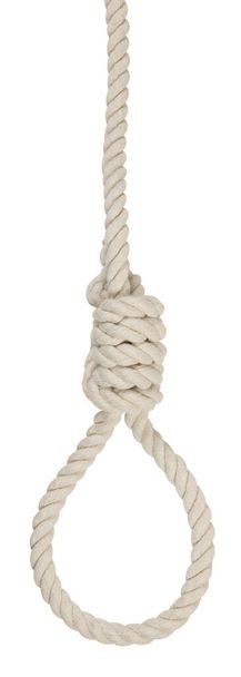 Touw strop voor beul, zelfmoord gemaakt van natuurlijke vezels touw isoleren op witte achtergrond. Hennep touw strop voor moord of plegen zelfmoord concept. Hang touw knoop voor galg en Hang mensen echt - Foto, afbeelding