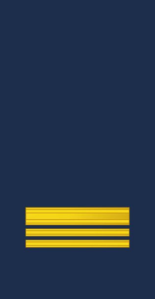 Shoulder sleeve pad military officer mark for the EVERSTILUUTNANTTI (LIEUTENANT-COLONEL) insignia rank of the Finnish Air Force - Vector, Image