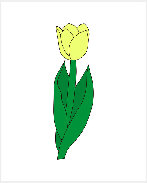 Tulipán aislado Doodle flor dibujado a mano línea de arte Vector stock illustration EPS 10 - Vector, imagen