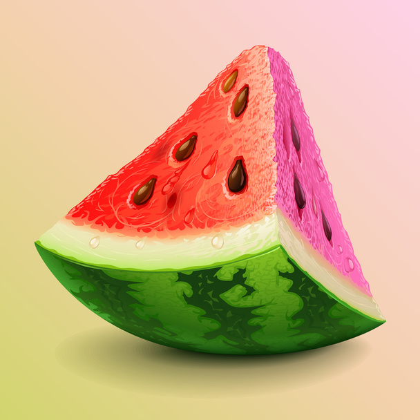 Juicy Watermelon slice - Vector, Image