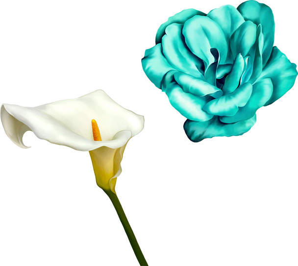 Mavi kamelya ve Calla çiçek - Vektör, Görsel