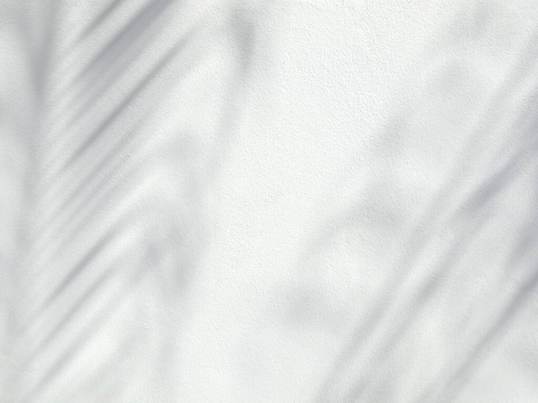 Sombra de hojas de palma tropical sobre un fondo de pared blanco, efecto de superposición para la foto, maqueta, carteles, estacionario, arte de la pared, presentación de diseño - Foto, Imagen