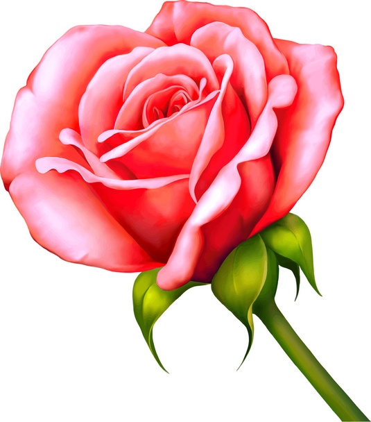 червоні троянди
 - Вектор, зображення