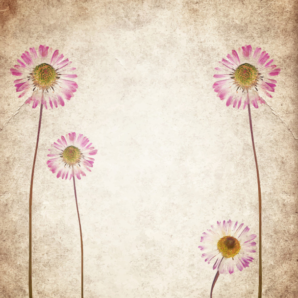 Παλαιόν Ιστορικόν υφή εκλεκτής ποιότητας χαρτί με ξηρά λουλούδια - Διάνυσμα, εικόνα
