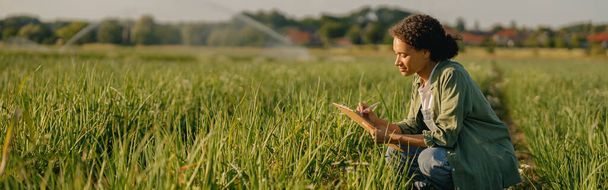 Female agronomist making notes in clipboard on field during harvesting. Agricultural concept - Photo, Image