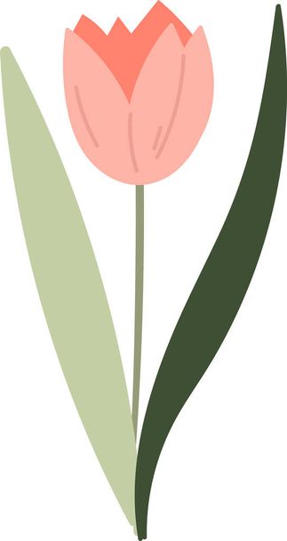 Fleur de tulipe sur tige Illustration vectorielle - Vecteur, image