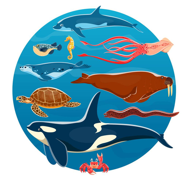 Карикатурные морские животные, векторные океанские рыбы и подводные животные. Милый кальмар, дельфин, морской конёк, косатка или косатка. Краб, морская черепаха, рыба фугу, угорь, тюлень и морж в воде волны синий круг - Вектор,изображение
