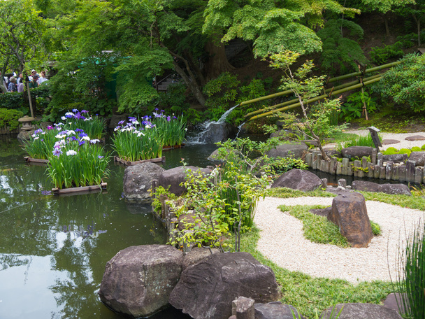 Японский сад - Фото, изображение