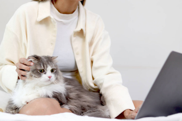 Aranyos fehér szürke perzsa macska kényelmesen ül a laptop billentyűzetén, tulajdonos nő dolgozik a számítógépen vele boldog bolyhos kényelmesen kisállat, lány játszik vele imádnivaló hosszú haj cica kisállat. - Fotó, kép