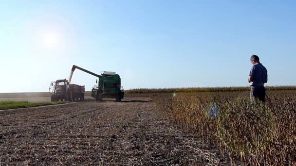 Orta yaş çiftçi birleştirme-hasat boşaltma soya fasulyesi traktör römork izlerken under - Video, Çekim