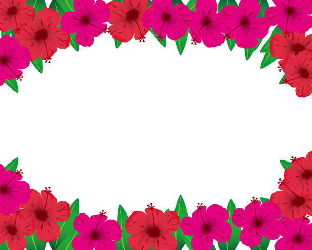 Hibiscuses background - Vector, imagen