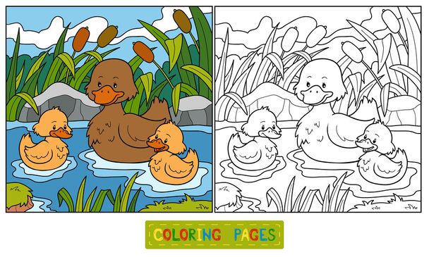 Coloring book (duck) - Vector, Image