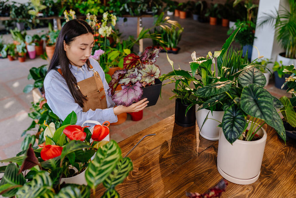 Een jonge vrouw in een schort zorgt voor planten in een bloeiende stedelijke jungle. Concept van de plantenwinkel. - Foto, afbeelding