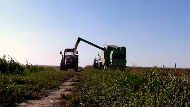 Combinar-cosechadora descargar soja en remolque tractor en presentada
 - Metraje, vídeo