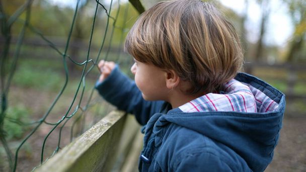 O rapazinho a agarrar-se à vedação quer a atenção do animal na quinta. Perfil de 4 year old child rattling fence - Foto, Imagem