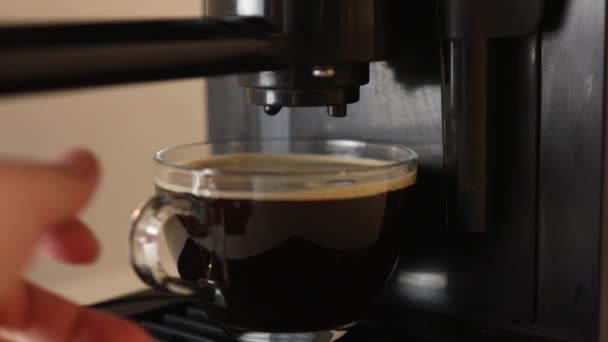 Kaatamalla kahvi stream ammatillinen kone kuppi. Teen tuplaespressoa. Virtaa tuoretta jauhettua kahvia aamulla. Laadukas 4k kuvamateriaalia - Materiaali, video