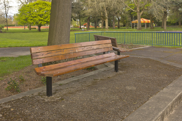 Две скамейки в общественном парке Орегон
. - Фото, изображение