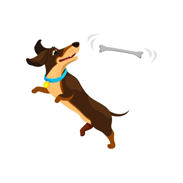 Cartoon teckel hond puppy karakter, met oren gespannen en staart kwispelend, behendig vangt een bot midden in de lucht. Vector grappig huisdier presentatie van een speels en schattig moment van honden behendigheid en genot - Vector, afbeelding