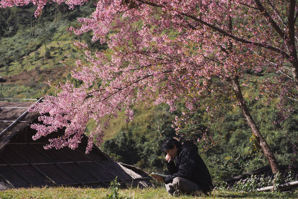 Reise- und Arbeitskonzept mit Solo-Freiberufler Mann sitzt unter Kirschblütenbaum und nutzt Tablet-Arbeit mit Bergkulisse - Foto, Bild