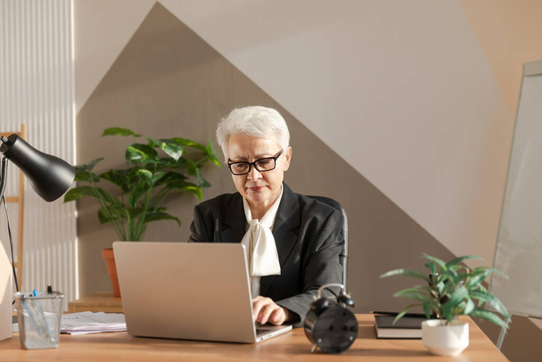 Confident stylish european middle aged senior woman using laptop at workplace. Stylish older mature 60s gray haired lady businesswoman sitting at office table. Boss leader teacher professional worker - Foto, imagen