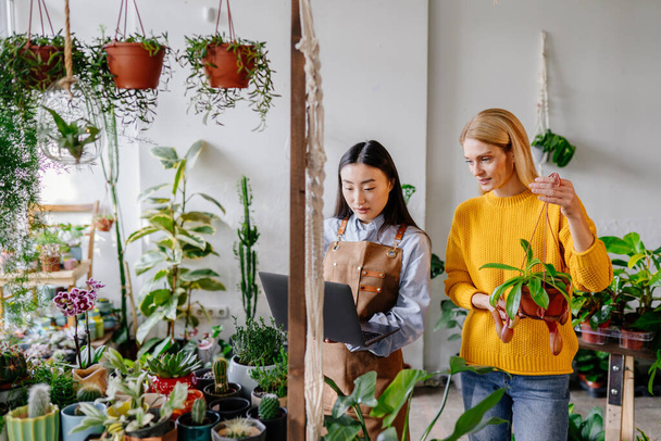 Szczęśliwa kobieta w średnim wieku w żółtym swetrze w kwiaciarni z zakupioną rośliną, rozmawia z azjatycką sprzedawczynią w fartuchu z laptopem otaczają rośliny we wnętrzu sklepu roślinnego. - Zdjęcie, obraz