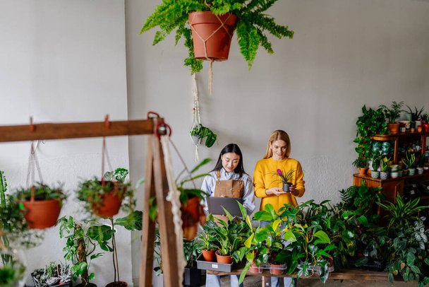 Happy middle age woman in yellow sweater in a flower shop with a purchased plant, hands talking with asian female seller in apron holding laptop surround plants in plant store interior. - Photo, Image