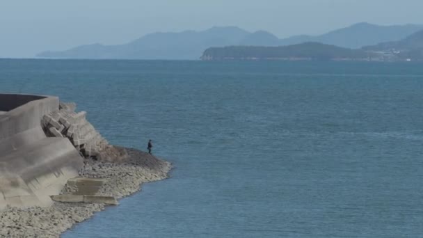 Sám Rybář na pobřeží Izumi, Východočínské moře, Japonsko. Vysoce kvalitní 4K záběry - Záběry, video