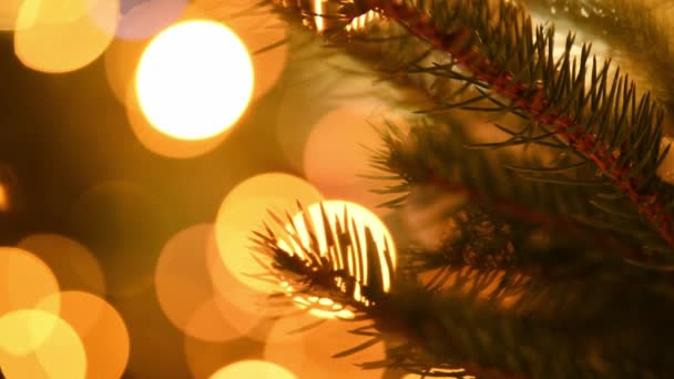 Nový rok vánoční strom větev na žluté blikající světla věnce kopírovat prostor na pozadí, Veselé Vánoce a šťastný nový rok náladu na blikající světla pouličních dekorací, zblízka pohled na světla - Záběry, video