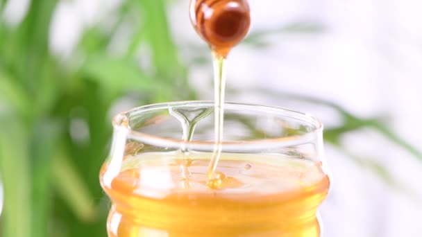 Il miele è un ingrediente che viene aggiunto a una ricetta al posto dello zucchero. Una di parte di una serie di ricette video. In tempo reale, primo piano. - Filmati, video