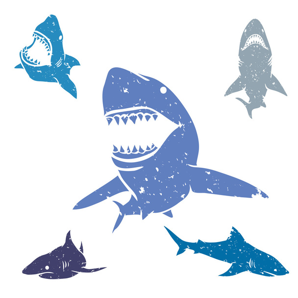 Set of Sharks - Wektor, obraz