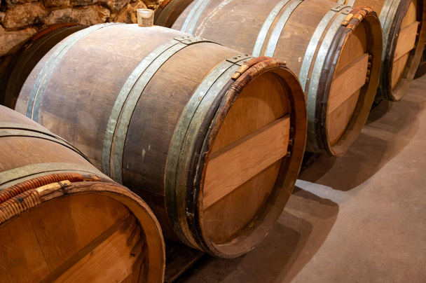 Vinný sklep s dubovými dřevěnými sudy ve staré vinařské oblasti na vinicích Sauternes ve vesnici Barsac s hrozny zasaženými Botrytis cinerea ušlechtilou hnilobou, výroba sladkého dezertu Sauternes vína v Bordeaux, Francie - Fotografie, Obrázek