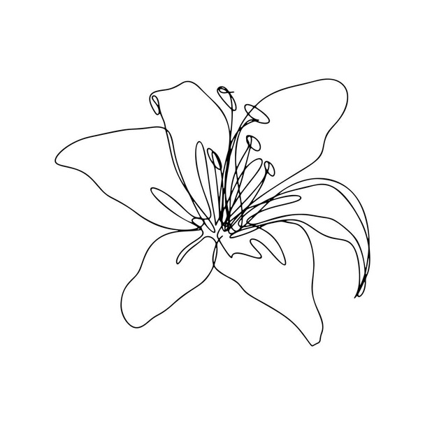 Eine Linienzeichnung, eine durchgehende Linienskizze Blume - Vektor, Bild
