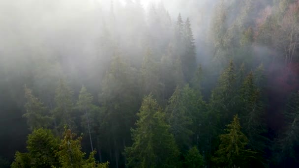 flying drone over the cloudy fog haze of the Black Forest in southern Germany. Black forest View from Mount Blauen to Belchen. - Footage, Video