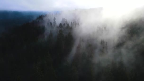 літаючий безпілотник над хмарним туманом Чорного лісу на півдні Німеччини. Чорний ліс Вид з гори Блауен на Бельчен. - Кадри, відео