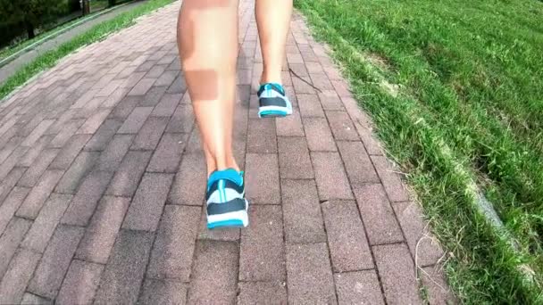 Calzado para hacer ejercicio en cámara lenta que se utiliza en el parque al atardecer, visto desde atrás mientras recorre un camino rural. MOCIÓN LENTA - Imágenes, Vídeo