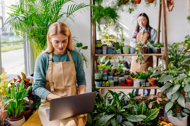 Średniowieczny blondynka biznes kobieta kwiaciarnia za pomocą laptopa cyfrowego jej asystent, pracownik, pracuje w tle w zieleni studio wnętrza. - Zdjęcie, obraz