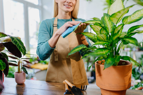 close-up blond middelbare leeftijd mooie vrouwelijke ondernemer werken, regelen en tuinieren kamerplanten bij haar bloemist winkel indoor. - Foto, afbeelding