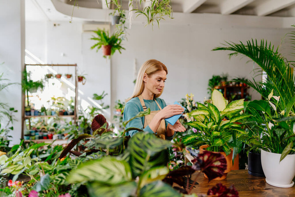 Empresária feminina de meia-idade, vestida de avental, metódica limpando as folhas de uma planta para venda em sua loja de flores, liderando um workshop de floricultura em meio à vegetação serena. - Foto, Imagem