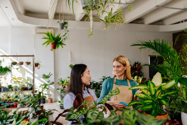 Két különböző korú és nemzetiségű nő beszélget munka közben, növényeket gondoznak egy színes virágokkal teli boltban.. - Fotó, kép