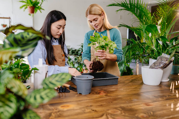Növény üzlet, start up: két nő kötényben gondozza a növényeket a boltban egy öntözőkanna, kerti szerszámok, friss talaj fa asztalon. - Fotó, kép