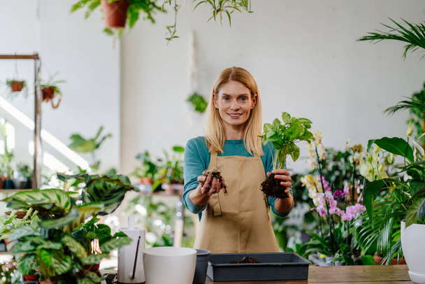 Zdjęcie portret blond właścicielka kobieta w fartuchu pokazuje, jak przeszczepić roślinę, trzymając glebę, roślinę, uśmiechając się do kamery w sklepie pełnym zielonych roślin. - Zdjęcie, obraz