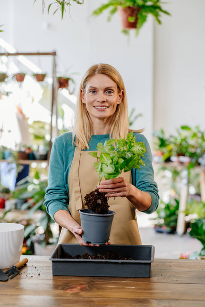 インテリアグリーン, ブロンド愛好家の肖像画 シームレスに近代的な周辺に育成植物を統合, 彼女の植物店でスタイルと自然の調和のブレンドを実現. - 写真・画像