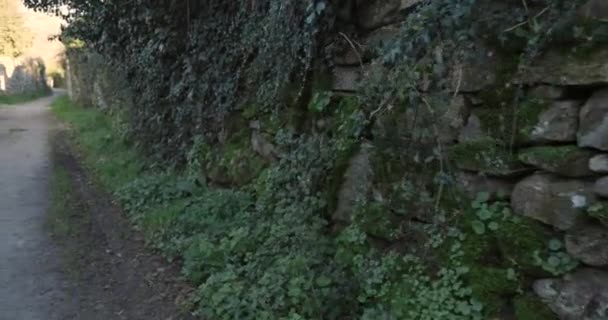 Περπατώντας σε μεσαιωνικό δρόμο με εγκαταλειμμένους πέτρινους τοίχους με πράσινη βλάστηση στο Allariz της Γαλικίας Ισπανία το ηλιοβασίλεμα  - Πλάνα, βίντεο