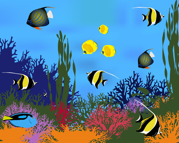 サンゴ魚 - ベクター画像
