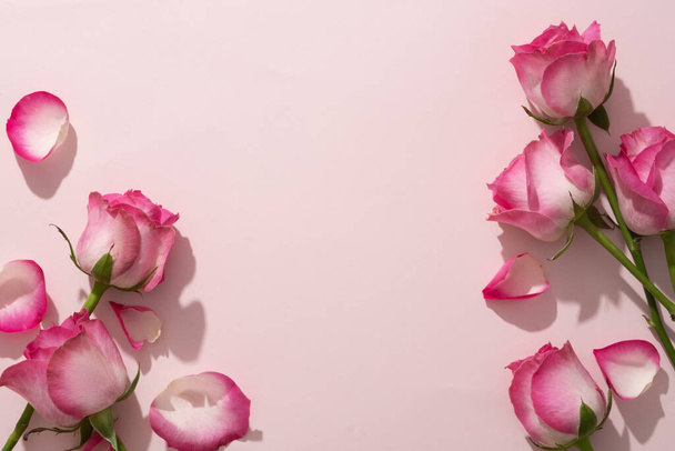 Friss rózsák díszítik pasztell rózsaszín háttér és üres helyet a közepén. Helyet a szövegnek. Keret gyönyörű virág design kártya vagy banner - Fotó, kép