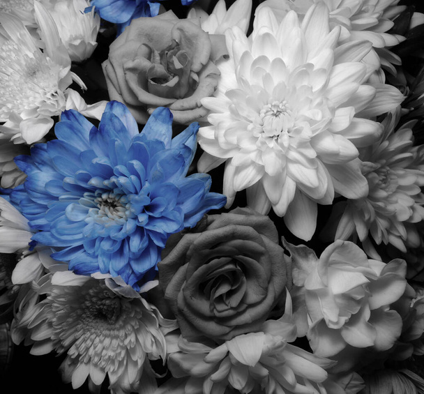 Ramo de flores en la oscuridad en colores blanco y negro con tonos azules suaves  - Foto, imagen