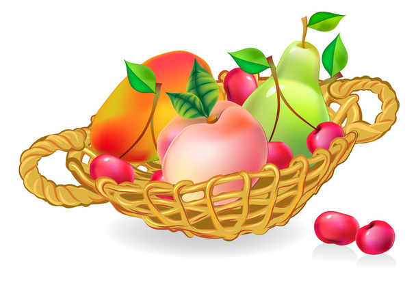 Basket with fruits collection - Vector, imagen