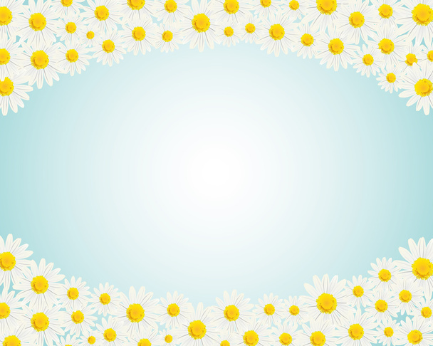 White daisy background - Vector, imagen