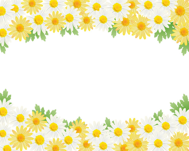 Daisy background - Διάνυσμα, εικόνα